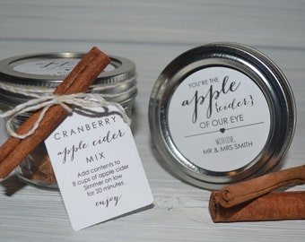 Apple Cider Mix Favors, Fall Bridal Shower Favor, Fall Baby Shower Favor, Fall Favor, Apple Cider Favors