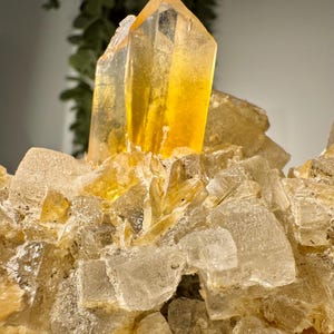 May include: A cluster of natural crystals, featuring a prominent, golden-yellow quartz point. The crystals are set against a backdrop of lighter, translucent formations, creating a striking contrast. The overall composition suggests a raw, geological specimen.