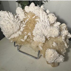 May include: A large mineral specimen featuring clusters of white, needle-like crystalline formations atop a pale, translucent beige base. The specimen is supported by a silver-toned metal display stand, showcasing its intricate, jagged texture.