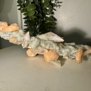 Könnte beinhalten: Ein horizontales Mineralexemplar mit einer zentralen, länglichen, blassgrünen und texturierten Kristallformation. Entlang dieses Kerns sind mehrere durchscheinende, pfirsichfarbene und kantige Kristallcluster eingebettet, die aus der Oberfläche herausragen.