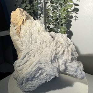 May include: A large, white crystal cluster with a textured, layered appearance. The crystal formation has a rough, natural look, with a tan-colored section at the top. The crystal sits on a white surface, with green foliage in the background.