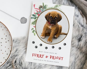 May include: A holiday card featuring a brown puppy with a red collar, surrounded by a wreath of greenery. The card reads "May your days be Furry & Bright." A white envelope and a plate with a gold-painted pinecone are also present.