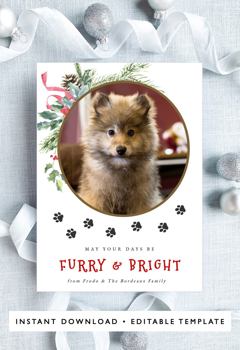 Dog Photo Christmas Card Template, Furry and Bright, Pet Holiday Card ...