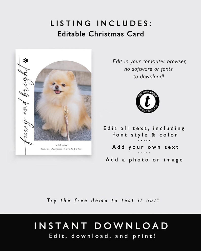 Dog Photo Christmas Card Template, Furry and Bright Pet Holiday Card ...