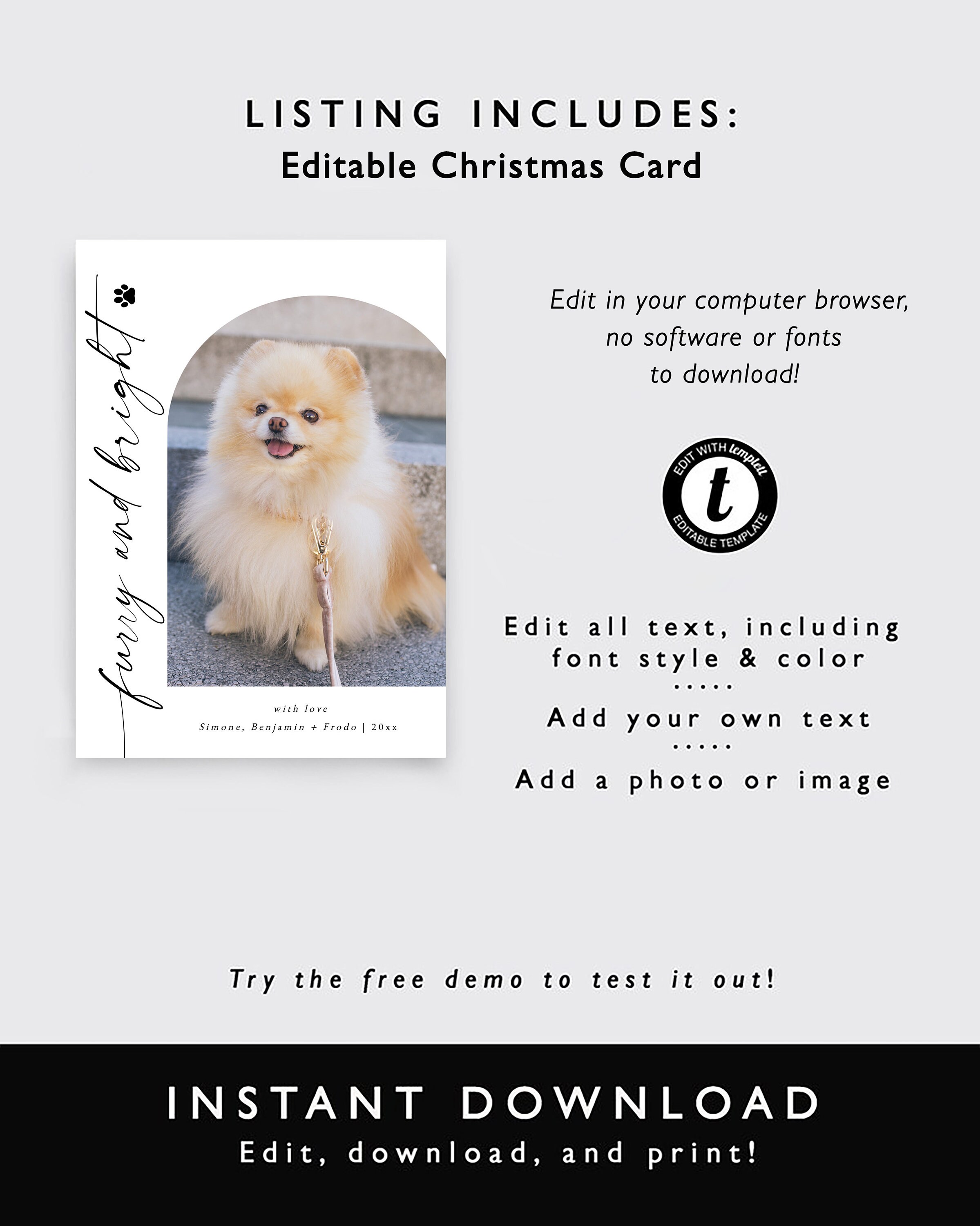 Dog Photo Christmas Card Template, Furry and Bright Pet Holiday Card ...