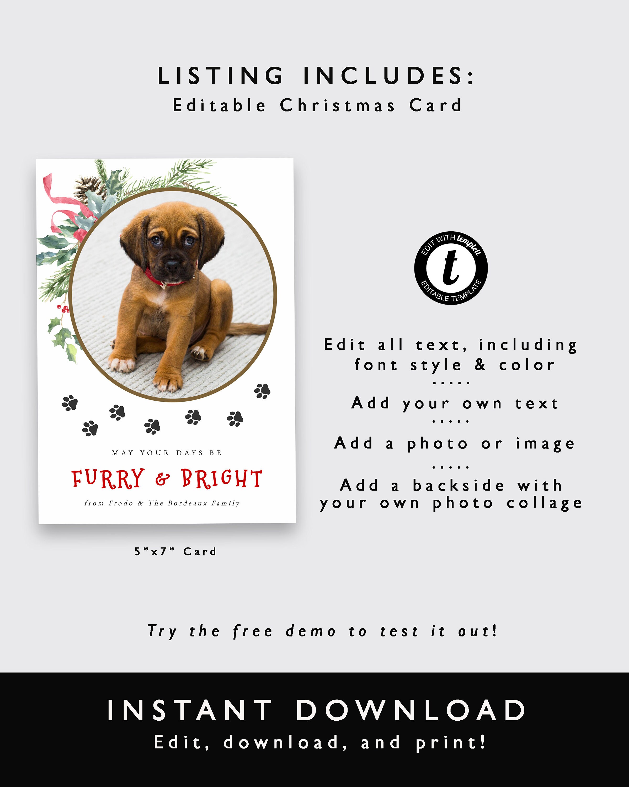Dog Photo Christmas Card Template, Furry and Bright, Pet Holiday Card ...