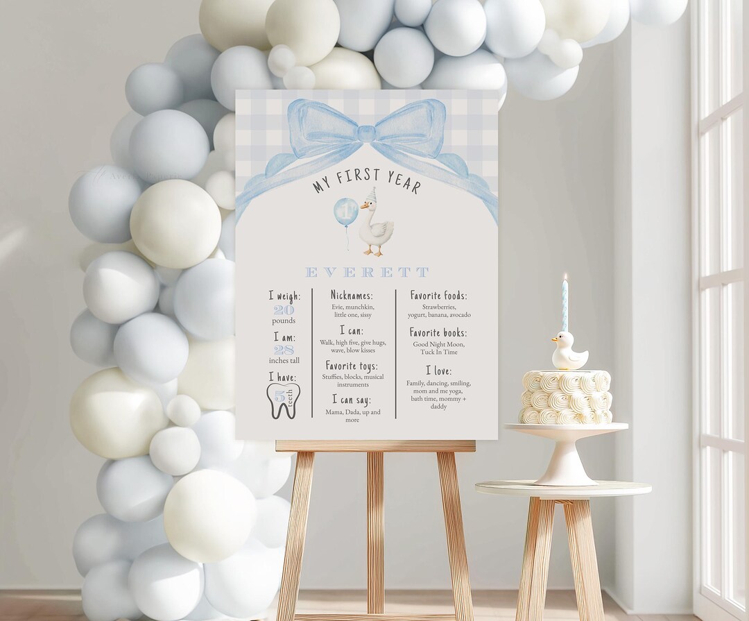 Blue Gingham Silly Goose First Birthday Milestone Board, One Silly ...