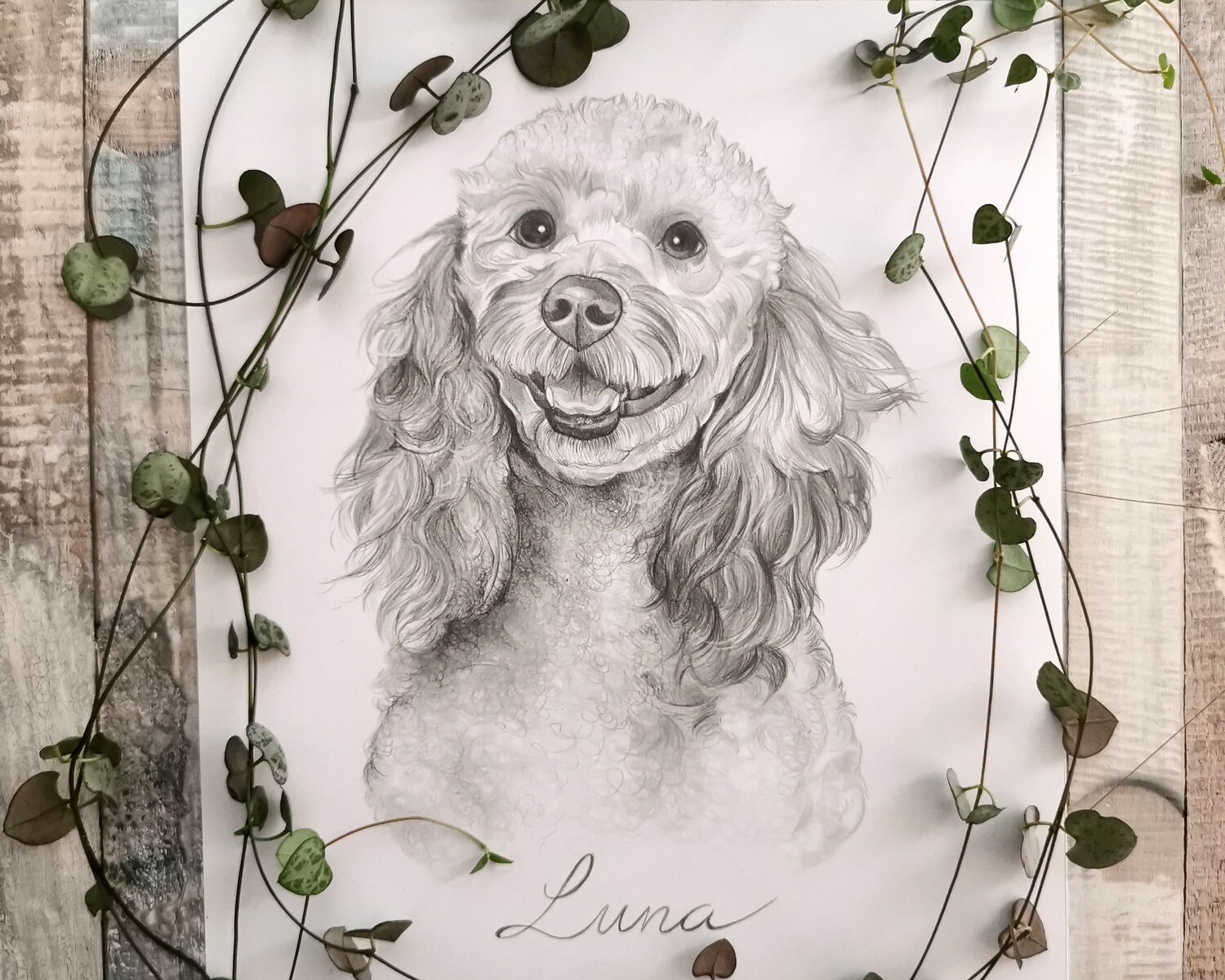 Pet Portrait Drawing Custom Pet Portrait Animal Portrait Etsy UK