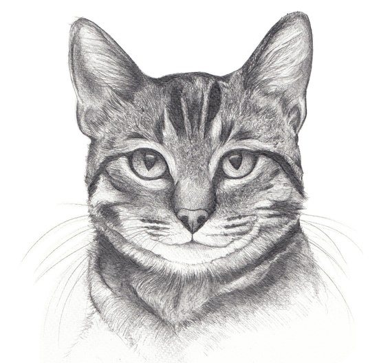 Portrait Personnalise Danimal De Compagnie Portrait De Chat Etsy