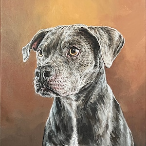 Dog Pet Portrait Hand-Painted By Artist Dino Benvenuti From Photos In Acrylic Paint On Canvas, Custom Pet Art, Gift, Multiple Sizes image 5