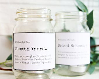 Herb Digital Downloads, Plant Labels, Herb Labels, Jar Labels, Digital Downloads, Farmhouse Kitchen, Kitchen Labels, Farmhouse Tags