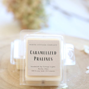 Hand Poured Soy Melts, Farmhouse Wax Melt, Mother's Day Gift, Gift For Her, White Candle, Scented Wax Melt, Women's Gift, Gift For Mom Caramelized Pralines