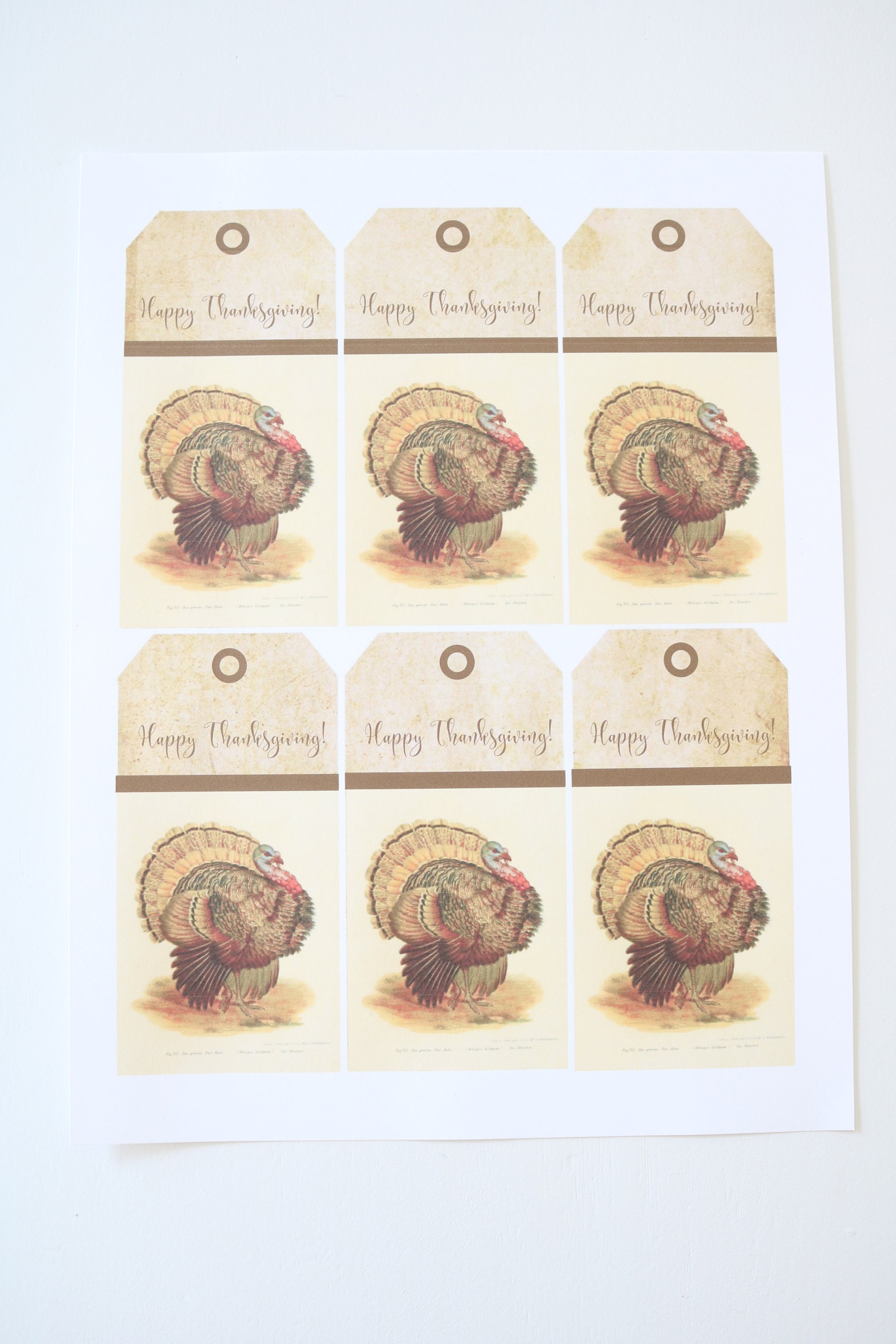 Turkey Label Simple Thanksgiving Turkey Printable, Turkey Printable, Vintage Turkey Tags ...