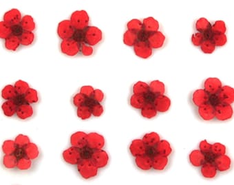 Pressed flowers, red bridal wreath 20pcs floral art resin craft nail art jewellery making