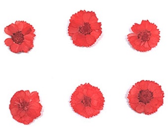 Pressed dried flowers, small red chrysanthemum 20pcs, floral art, resin craft, card making, jewellery making, scrapbooking