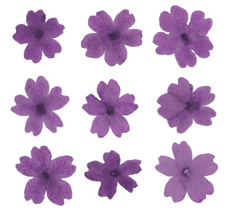 May include: Nine purple watercolor flowers with five petals each. The flowers are arranged in a grid pattern.