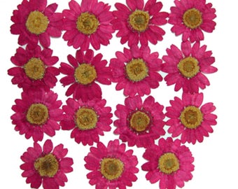May include: Arrangement of sixteen dried pink daisy-like flowers with yellow centers, set against a white background. The petals are a vibrant magenta hue, and the flower centers are a warm yellow. These flowers are likely used for crafting or decorative purposes.