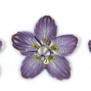 Op de afbeelding: Drie paarse bloemen met gele centra, elk met vijf bloemblaadjes, in een rij gerangschikt.