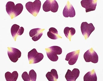 Pressed flowers, purple rose petals 20pcs floral art, resin craft, jewellery making