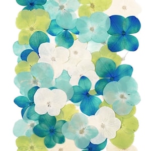 押し花、ミックスアジサイ 40 個、フラワーアート、樹脂工芸、カード作り、ジュエリー作りに。白、ターコイズ、ベビーブルー、ライトグリーン