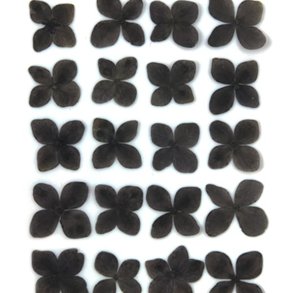 Black Dried Flowers Etsy