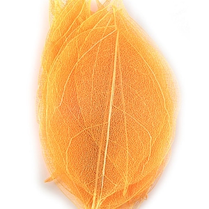 Feuilles pressées de feuillage orange 20 pièces pour l'art floral, fabrication de cartes artisanales en résine pour le scrapbooking