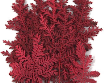 Pressed foliage, red silver lace 20pcs for floral art, resin craft