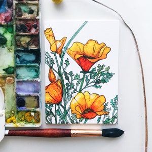 California Poppy 4&quot;x 6&quot; Greeting Cards / Thank You Cards /Flower Cards/ Watercolor Cards/ Card Set/ Card/ California Cards