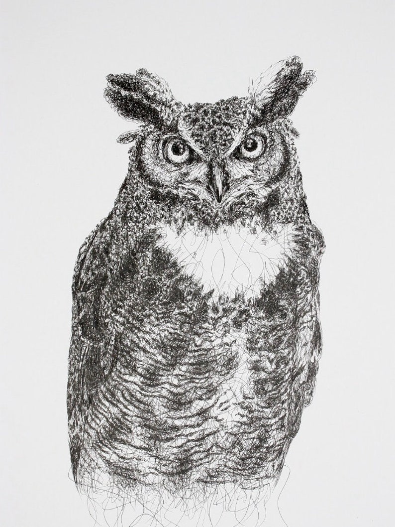 Alex Great Horned Owl Drawing Print Etsy