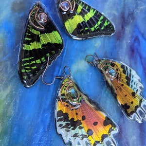 Rainbow Madagascan Sunset Moth Earwings Chrysiridia rhipheus Real Butterfly Moth Wing Epoxy Coated Custom Hammered Copper Design
