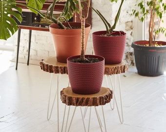 Modern Plant Stool, Modern Plant Stand, Three Leg Stool, Indoor Plant Stand, Coffee Table White, Wood Slab Table, Round Plant Stand