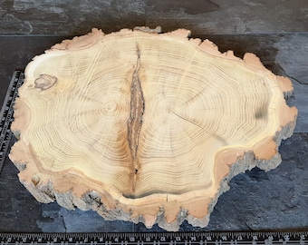 Large Wood Slabs, Live Edge Slab, Unfinished Wood Slab Round, Slice of Wood Raw Wood Slab Burl Slab Log slice Wooden Slice Rustic Wood Slice