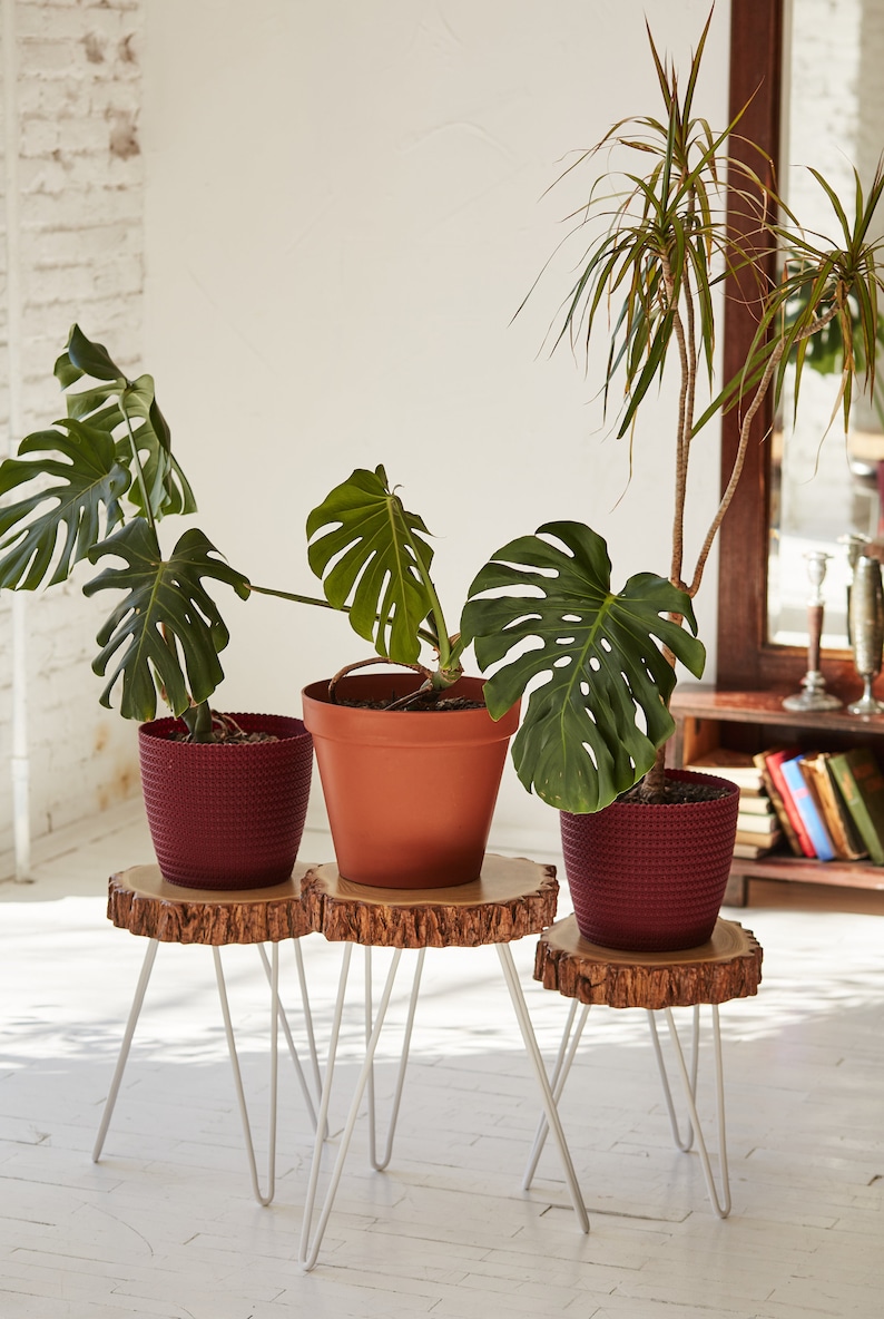 Modern Plant Stool Three Leg Stool Wood Slab Table Indoor Plant Stand Modern Plant Stand Coffee Table White Round Plant Stand