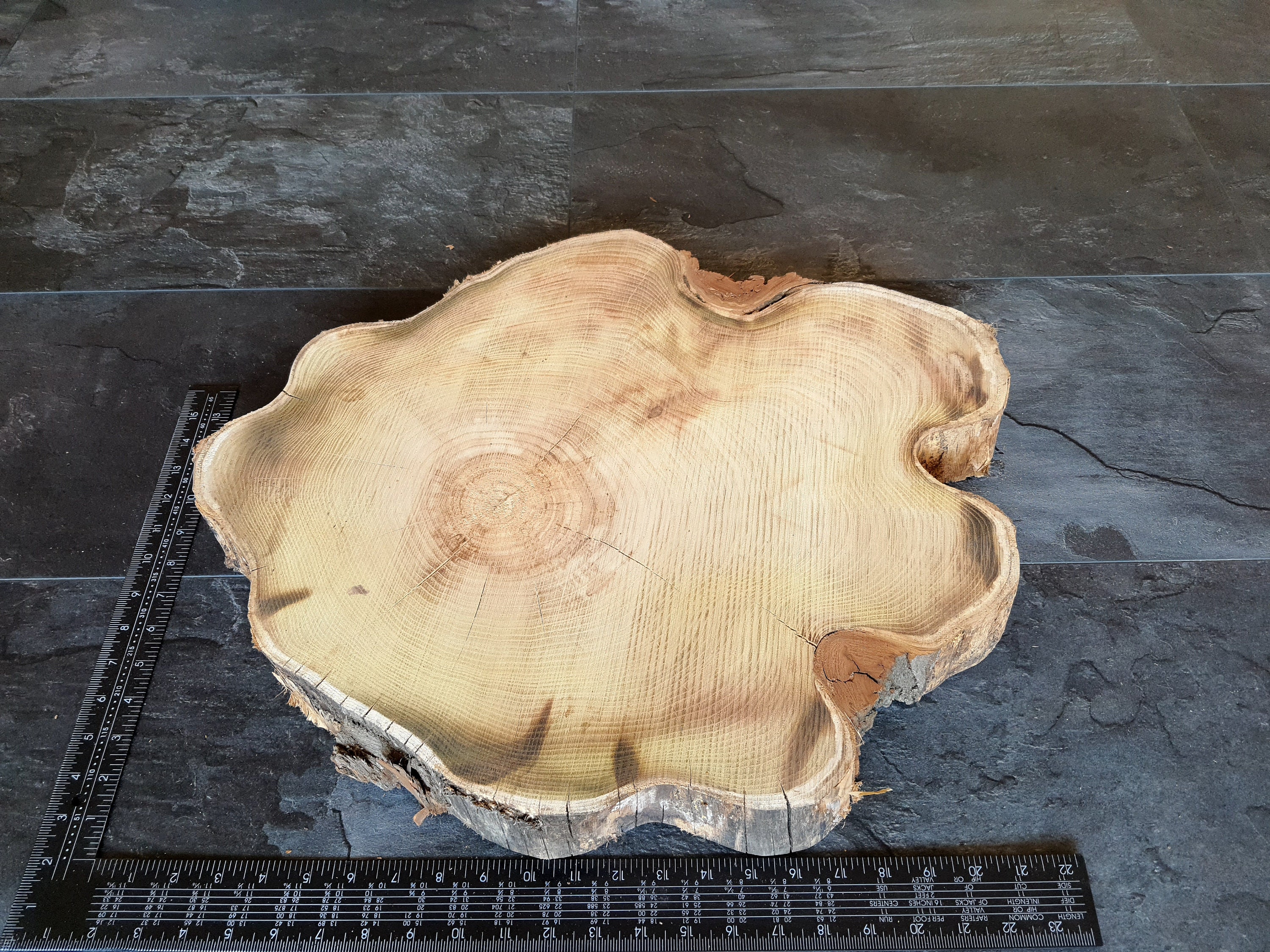Large Wood Slabs Live Edge Slab Unfinished Wood Slab Round Etsy