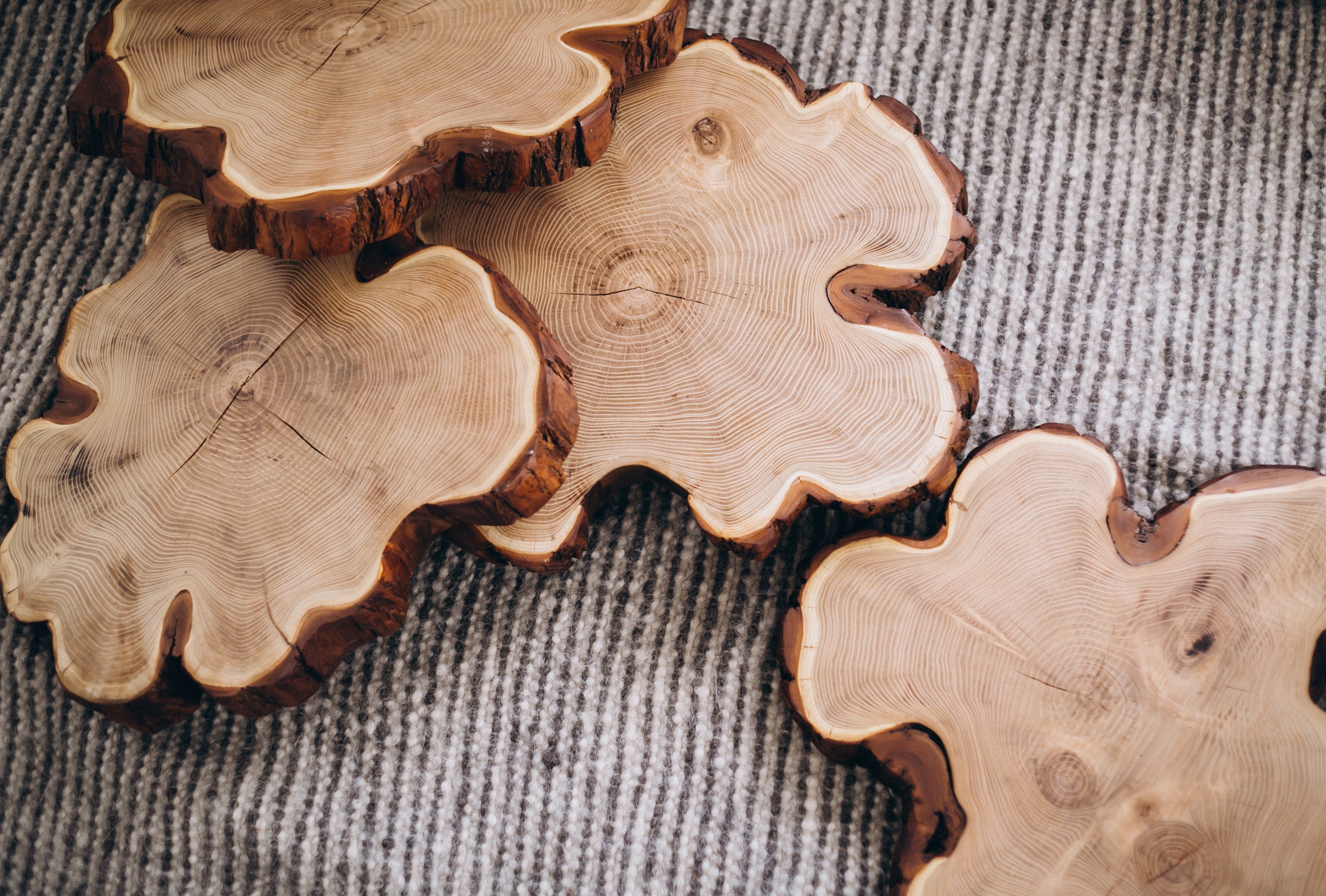 Live Edge Wood Slab, Unique Shape Rustic Table Coffee Table, Round Table