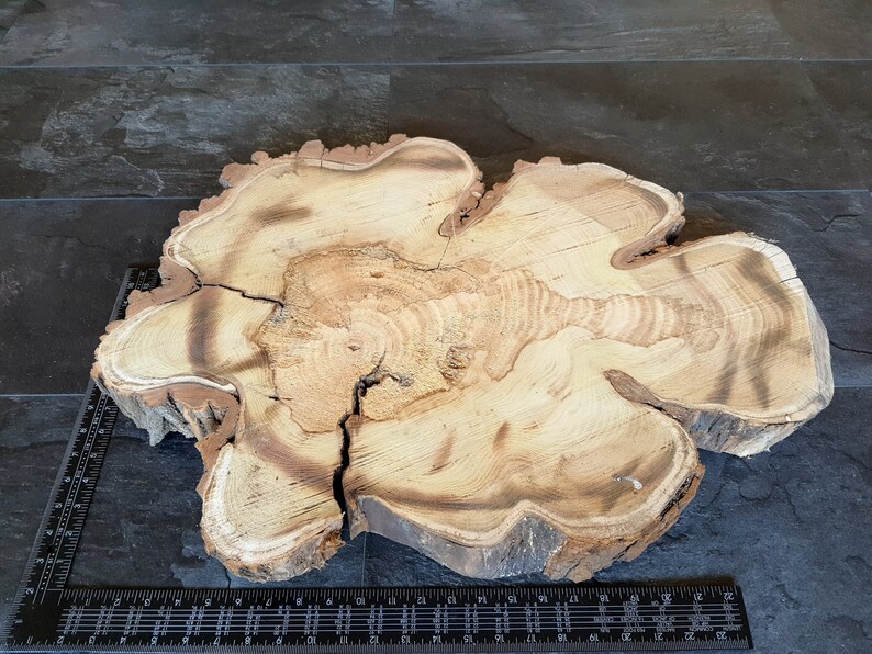 Large Wood Slabs Live Edge Slab Unfinished Wood Slab Round Etsy