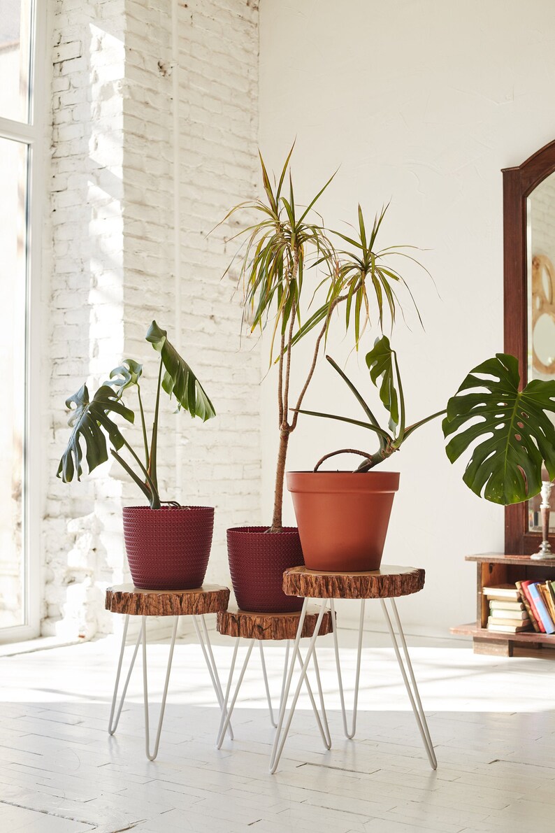 Modern Plant Stool Three Leg Stool Wood Slab Table Indoor Plant Stand Modern Plant Stand Coffee Table White Round Plant Stand