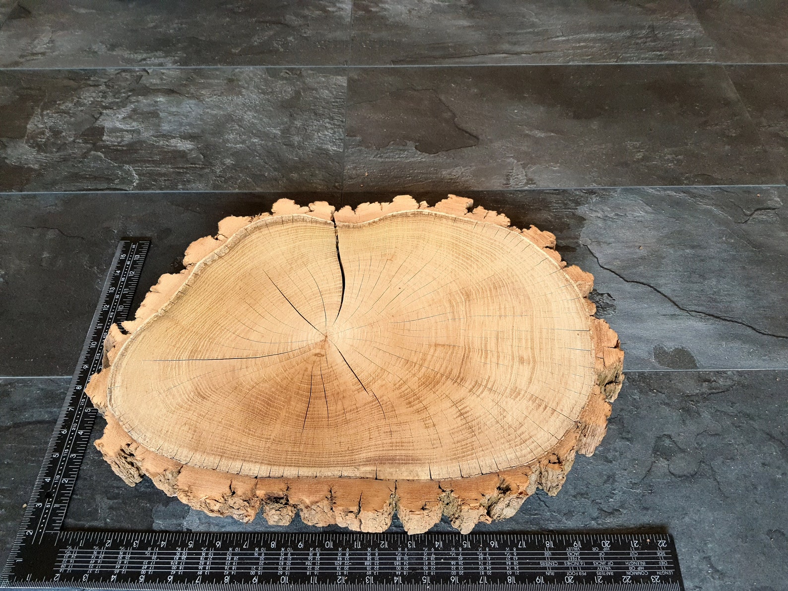 Large Wood Slabs Live Edge Slab Unfinished Wood Slab Round Etsy Australia