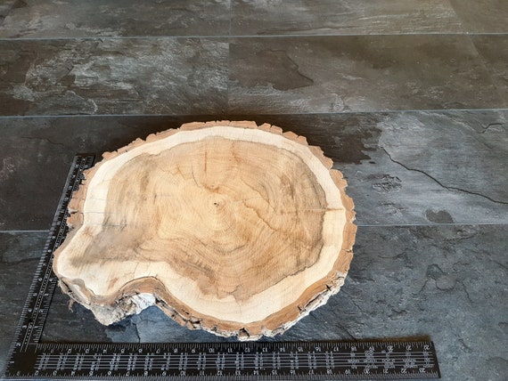 Case of 12 Rustic Natural Wood Slices, Rectangular Poplar Wood