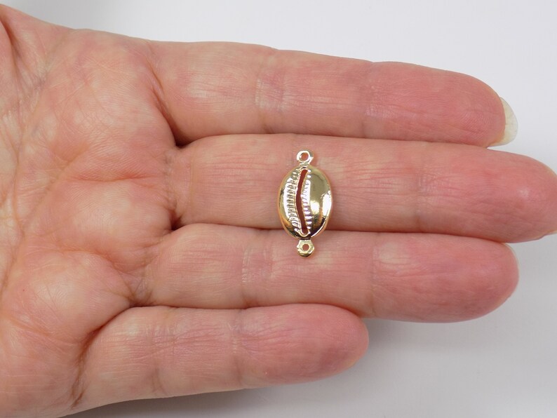 seashell loop