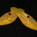 see more listings in the shoes with beads section
