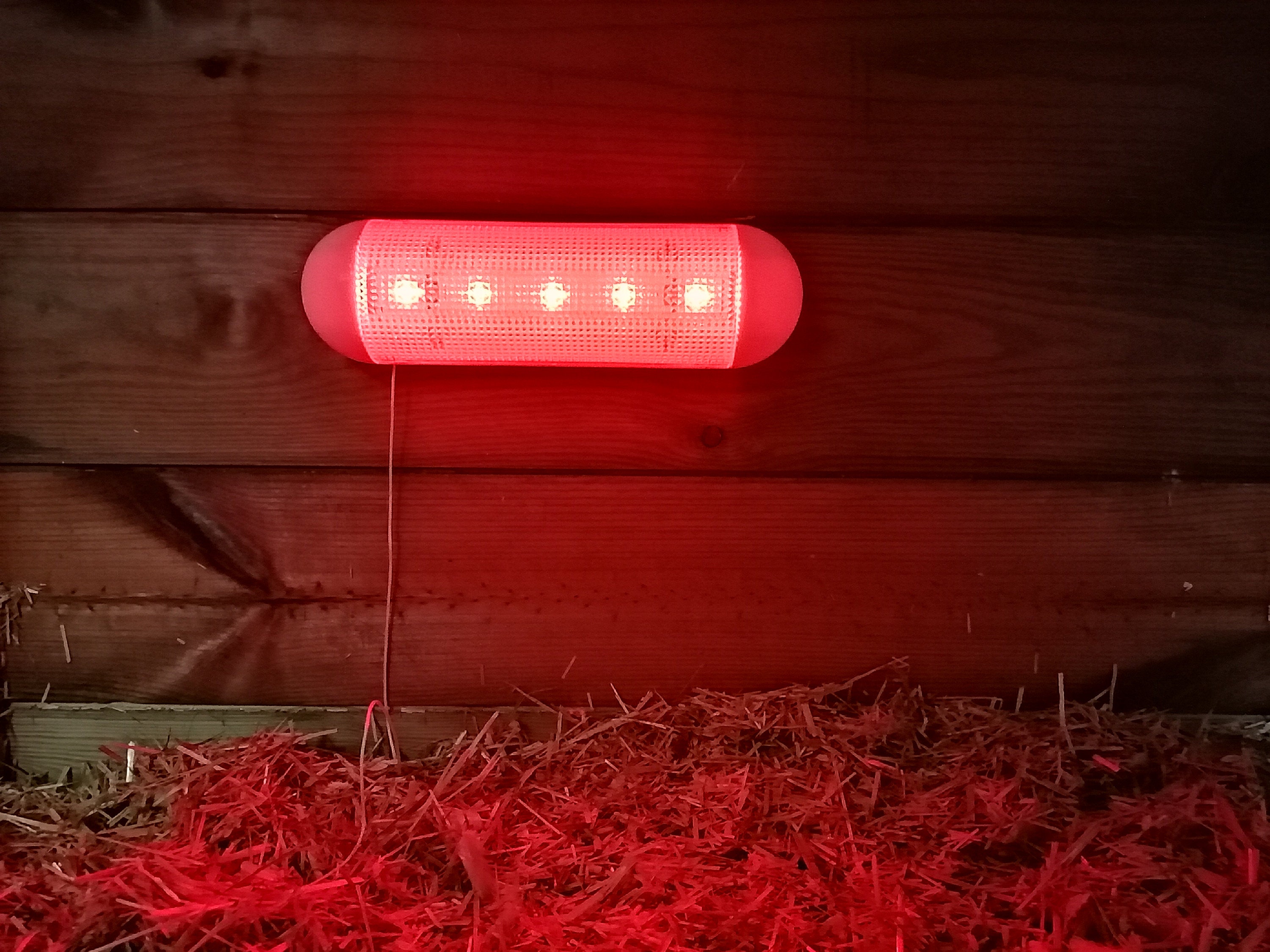 Luxcia Chicken Poultry Solar Red Light for Coop House Night Etsy