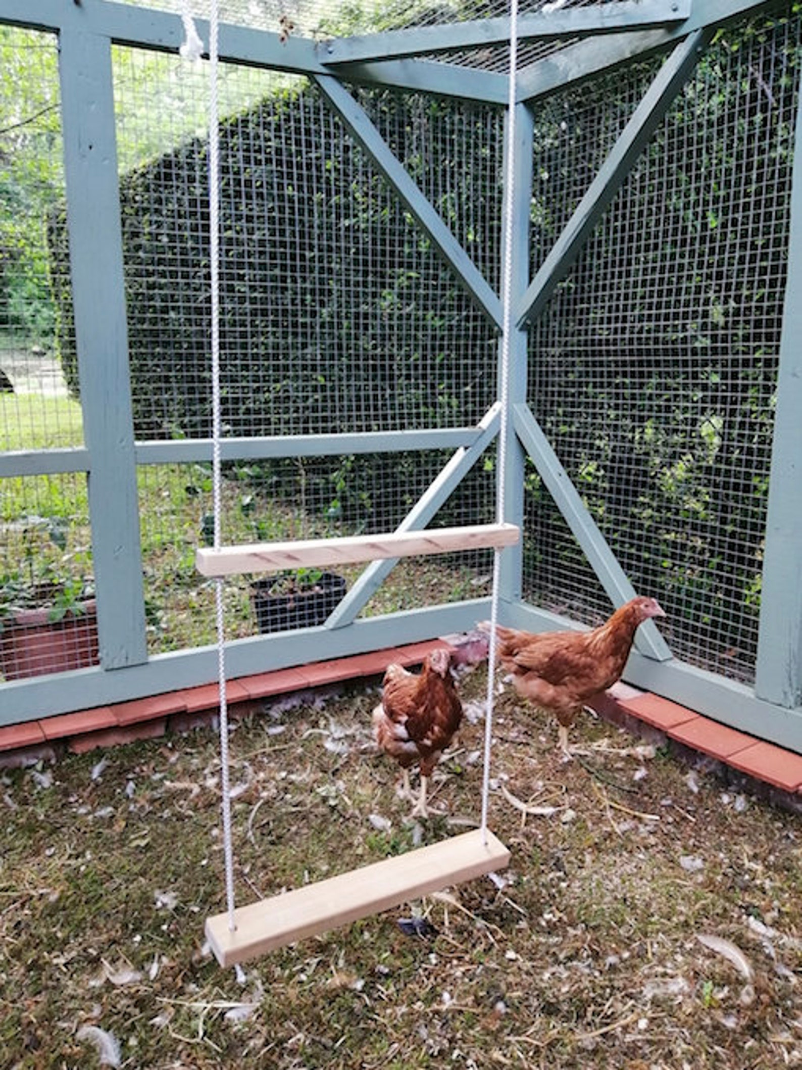 Wooden Chicken Poultry Rope Swing for Coop Run Exercise Etsy