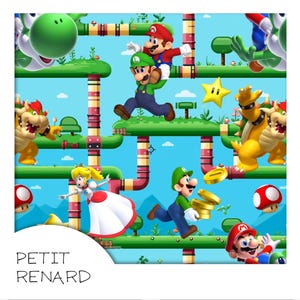 Peut inclure: Illustration colorée avec des personnages de Super Mario. Mario, Luigi, la Princesse Peach et d'autres personnages sont représentés dans un style de dessin animé vif sur fond de ciel bleu. Le texte "PETIT RENARD" est en bas à gauche.