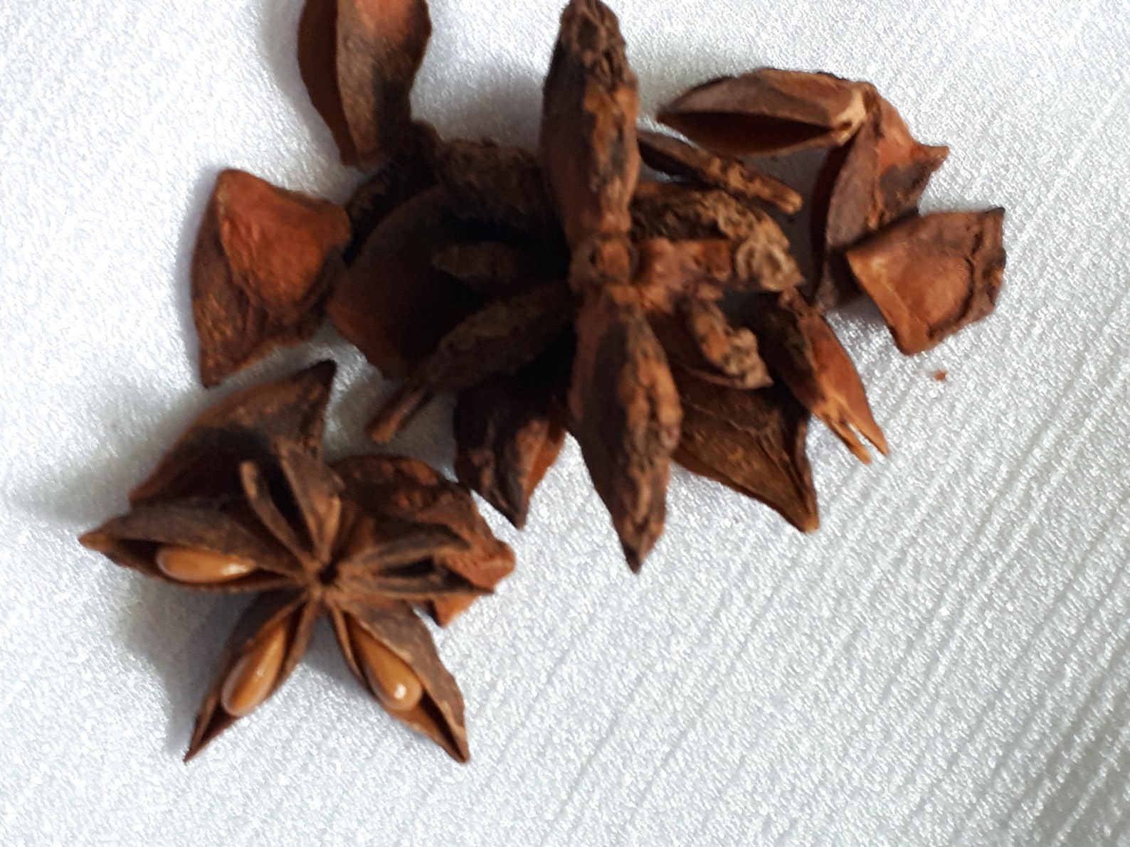 Star Anise Pods Etsy