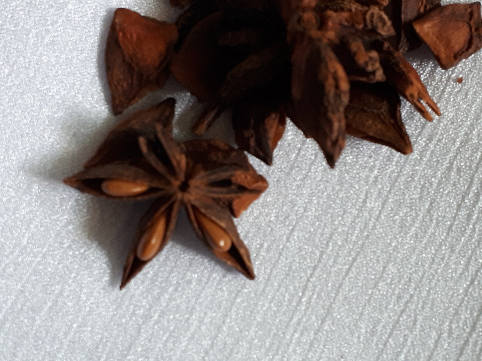 Star Anise Pods Etsy Australia