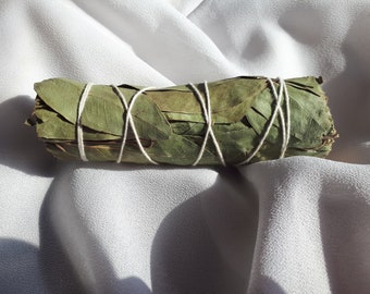 Eucalyptus smudge stick