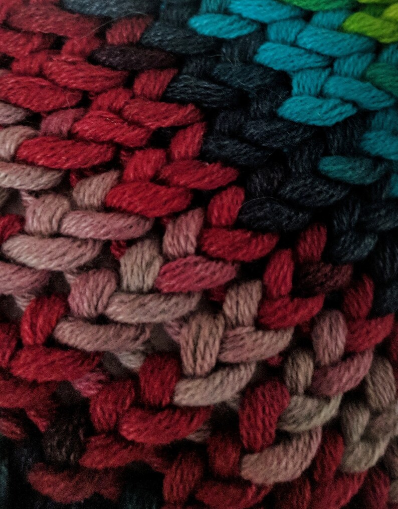 Multicolored Beanie with Purple Pom Pom
