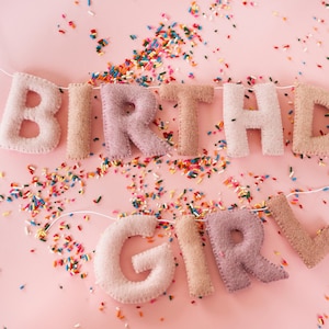 Guirlanda de feltro colorida para aniversário de menina, decorações de aniversário com bandeirinhas de feltro, decoração de guirlanda de aniversário infantil, decoração de festa com manto