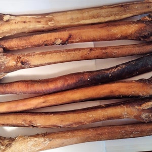 Zeus&#39;s 6&quot;and 12&quot; Jumbo Beef Bull Stick